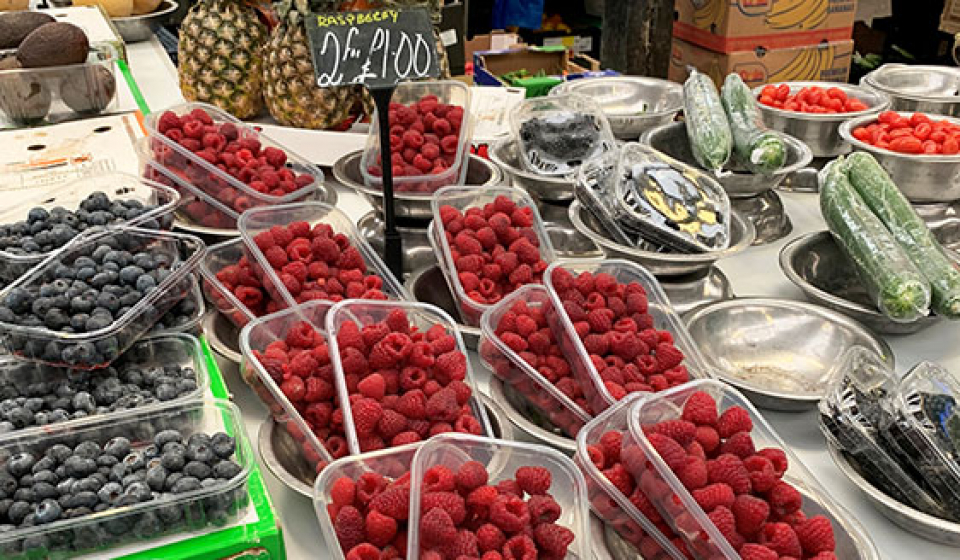 Vicki's-Fruits